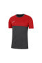Фото #1 товара Футболка мужская Nike M Dry Acdpr Top Erkek Tişört Bv6926-078