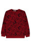 Фото #11 товара Erkek Çocuk Sweatshirt 2-5 Yaş Bordo