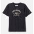 ფოტო #1 პროდუქტის COLUMBIA Mount Echo™ short sleeve T-shirt