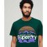 Фото #3 товара SUPERDRY Great Outdoors Nr Graphic short sleeve T-shirt