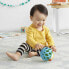 SKIP HOP Explore & More Roll Rattle Hedgehog