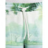 REPLAY W8116A.000.74946 sweat shorts