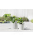 Фото #2 товара Amsterdam Modern Round Indoor and Outdoor Planter, 10in