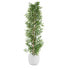 Фото #1 товара Искусственное растение Дерево Home ESPRIT полиэстер Бамбук 40 x 40 x 180 см