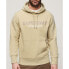 Фото #1 товара SUPERDRY Sportswear Logo Loose hoodie