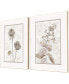 Фото #2 товара Интерьерный комплект картин Paragon Picture Gallery dried Florals I, набор из 2шт.