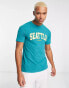 Kavu Seattle collegiate chest print t-shirt in green