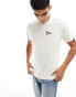 Vans camp flag back print t-shirt in off white trail pack