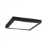 Фото #1 товара PAULMANN Abia - Square - Ceiling - Surface mounted - Black - Plastic - IP20
