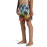 Фото #5 товара Плавательные шорты Quiksilver Mix Vly 14´´ для мальчиков 8-16 лет