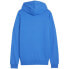 Фото #2 товара Puma Team Goal Casuals Hoody M 658618 02