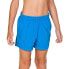 ARENA Bywayx Swimming Shorts