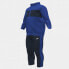 Фото #4 товара JOMA Stripe tracksuit