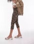 Фото #2 товара Topshop leopard print ponte capri in brown