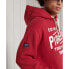 SUPERDRY Heritage Mountain Graphic hoodie