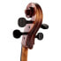 Фото #12 товара Gewa Maestro 6 Antique Cello 4/4
