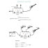 Фото #17 товара One Control Tri Loop - True Bypass Looper