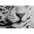 Фото #3 товара Картина DKD Home Decor 100 x 2,5 x 100 cm Леопардовый Колониальный (2 штук)