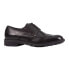 Фото #1 товара GEOX U35CGC00043 Walk Pleasure Shoes