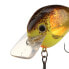 Фото #2 товара Shimano Brown Back Splatter WORLD RUSH FLASH BOOST Crankbait (WR56FBRBS) Fish...