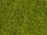 NOCH Scatter Grass - light green - Green