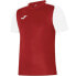 Фото #1 товара Joma Academy IV Sleeve football shirt 101968.602