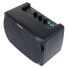 Yuer Portab. Amp Acoustic Bluetooth