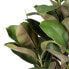 Фото #5 товара Декоративное растение 134 cm Зеленый PVC Дуб