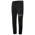 Фото #1 товара RH+ All Track Pants Without Chamois