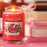 Фото #3 товара Свечи и подсвечники Yankee Candle Duftkerze Red Raspberry