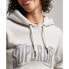 SUPERDRY Vintage Embellish hoodie