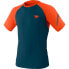 Фото #1 товара DYNAFIT Alpine Pro short sleeve T-shirt