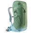 Фото #5 товара DEUTER AC Lite 22L SL backpack