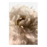 Фото #6 товара Wandbild Soft Petals