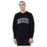 Фото #1 товара DICKIES Aitkin Sweatshirt