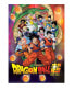 Фото #1 товара Puzzle Dragon Ball Z 1000 Teile