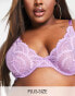 Фото #2 товара We Are We Wear Curve nylon blend high apex non padded plunge bra in violet purple