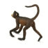 Фото #3 товара Фигурка Safari Ltd Spider Monkey Figure Wild Safari (Дикая Сафари)