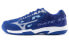 Кроссовки Mizuno Gate Sky Plus 71GA204001