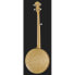 Фото #3 товара Gold Tone CC-100R 5 String Banjo