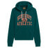 Фото #1 товара SUPERDRY Varsity Flocked Graphic hoodie