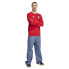Фото #5 товара ADIDAS FC Bayern Munich DNA 24/25 sweatshirt