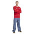 ADIDAS FC Bayern Munich DNA 24/25 sweatshirt