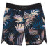 Фото #1 товара QUIKSILVER Highlite Scallop 16 Youth Swimming Shorts