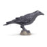 Фото #1 товара SAFARI LTD Raven Figure