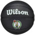 Фото #1 товара Ball Wilson Team Tribute Boston Celtics Mini Ball Jr. WZ4017605XB