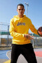 Фото #4 товара Толстовка и свитшот defacto NBA Лос-Анджелес Лейкерс Slim Fit с капюшоном из хлопка
