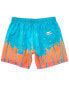 Фото #2 товара Boardies Mid-Length Swim Short Men's