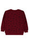 Фото #13 товара Erkek Çocuk Sweatshirt 2-5 Yaş Bordo