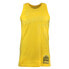 Фото #1 товара Mitchell & Ness Washed Out Swingman Crew Neck Replica Jersey Mens Yellow SMJYNG